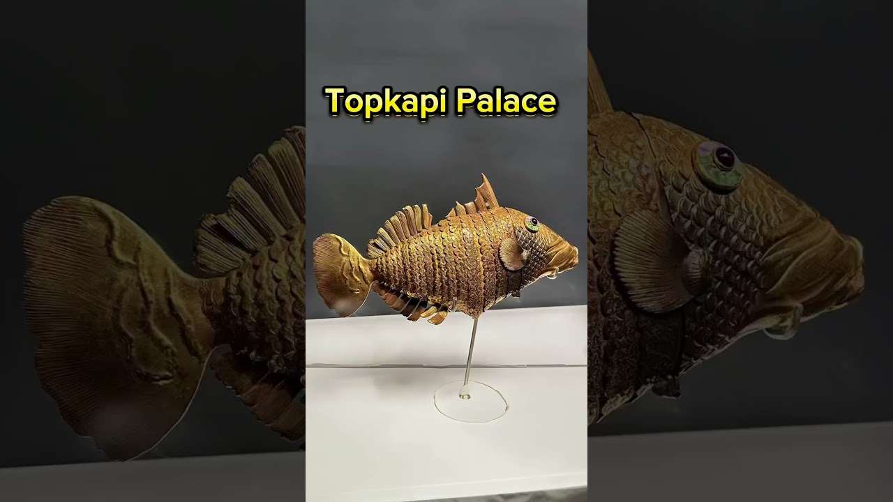 5 Things to do in Istanbul with Kids