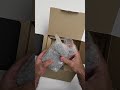 Unboxing Nikon z50II