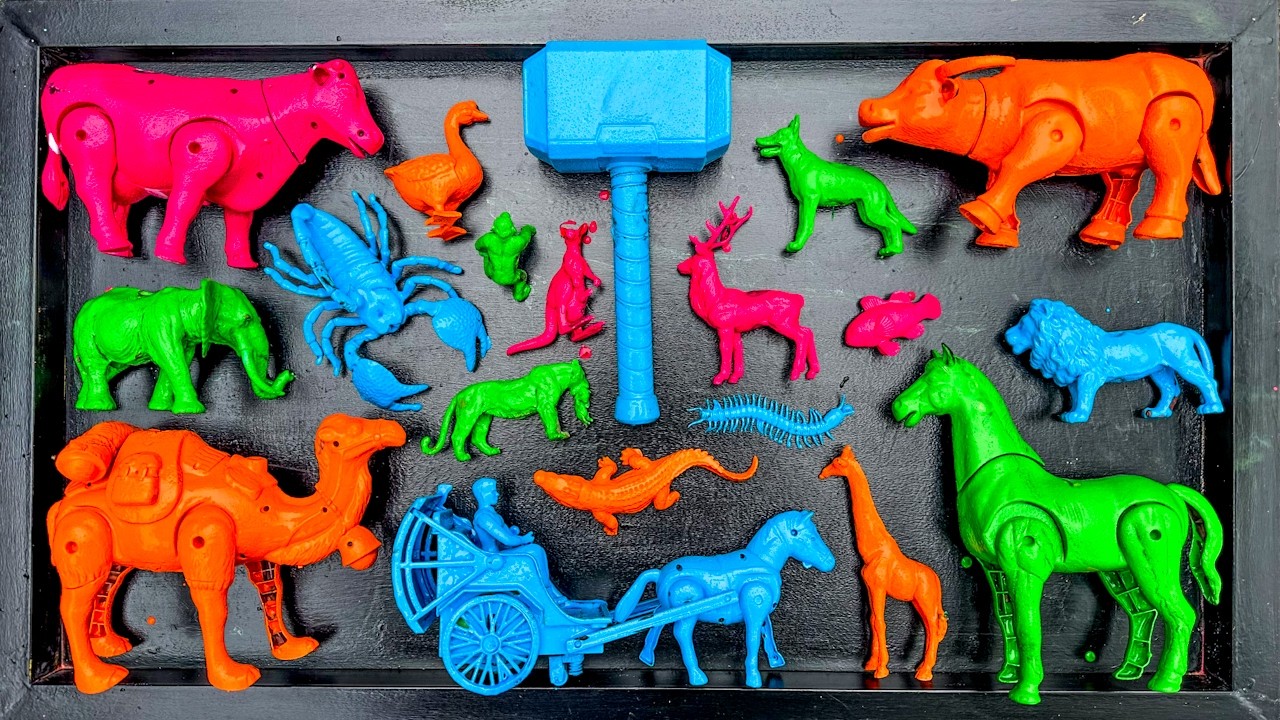 Membersihkan Mainan Hewan, Sapi, Bebek, Angsa, Ayam,Gajah,Simpanse,Singa,Unta,Buaya,Kangguru Part 33