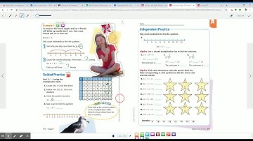 Chapter 7 Lesson 2 3rd Grade