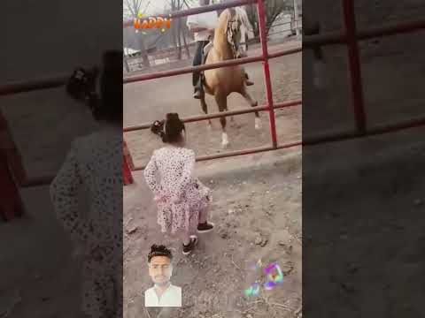 Horse vs gril day#shortvideo #keşfet #laughingbabymoments #horse