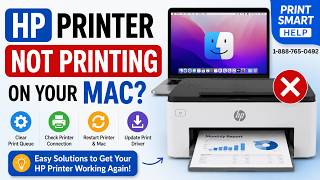 HP Printer Not Printing on Mac? tep-by-Step Fix (2026 Guide)