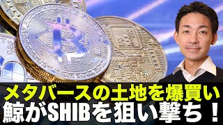 メタバースの土地が機関投資家の標的に！鯨がSHIBを狙い撃ち！