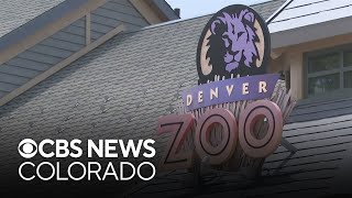 Denver zoo expands operating hours