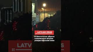В Вентспилсе убрали поваленные ветром рождественские елки
