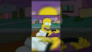 Homer Simpson's Wild Chestnut Tree Adventure!