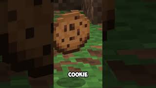 Bread next to cookie