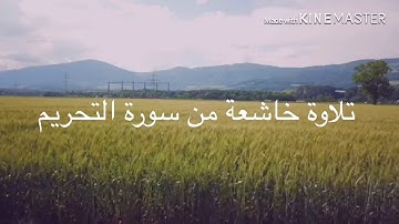 سورة التحريم بصوت الشيخ أحمد حمود