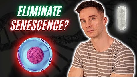 Does Fisetin WORK as a Senolytic?