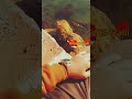 حالات وتس اب ليت الغياب يحن واشوفك هناك