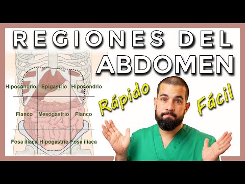 Video: ¿Cuál es la raíz de la palabra epigastrio?