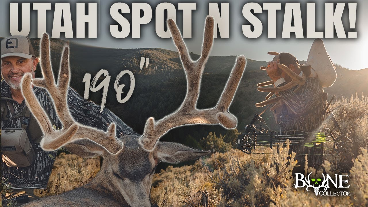 2 HOUR STAND OFF with a 190+" VELVET MULEY!