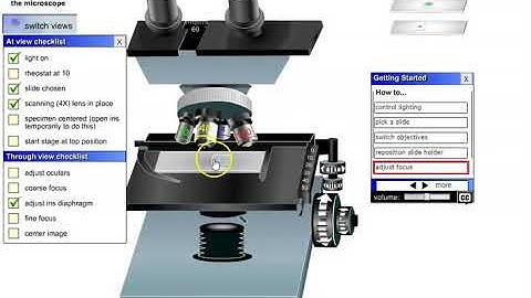 Using UDEL Virtual Microscope