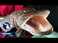 Pike Spearing, Pike Recipe; Michigan Out of Doors TV #2309