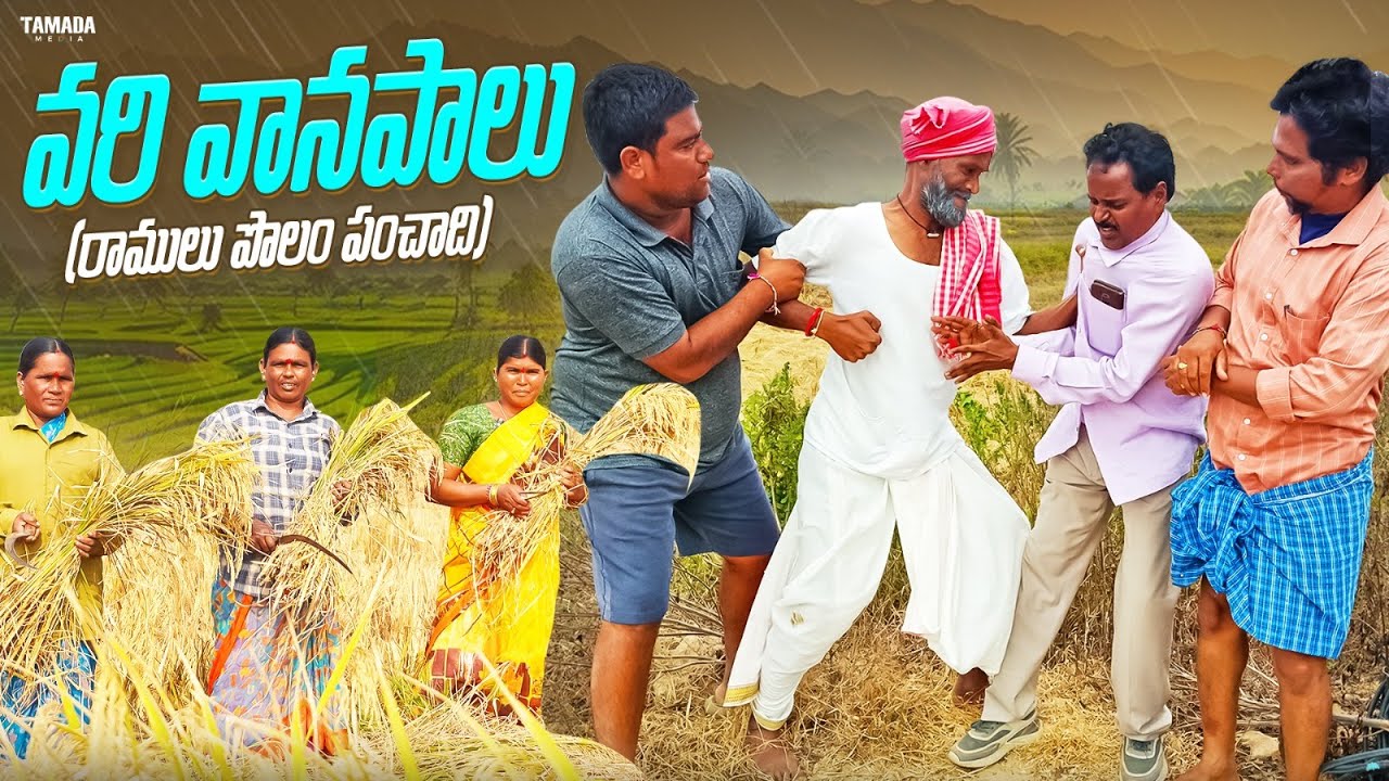 వరి కోత పంచాది || palle ramulu comedy || village comedy || vari panchadhi #comedy #funny #trending