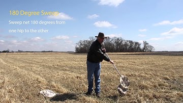 How to Use a Sweep Net