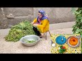 How do people live in iranian villages rural life routine village daily life