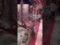 Adorable 🥰🇨🇳💞