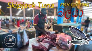 Skipjack Tuna Fish Cutting