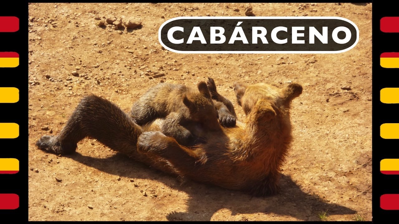 Cabárceno | Parque de la naturaleza | Visita de una tarde