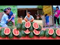 Single father harvesting watermelons to sell making money buying pork for his wife and children