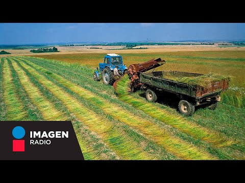 Video: Para Que La Agrofibra No Se Convierta En Una Decepción