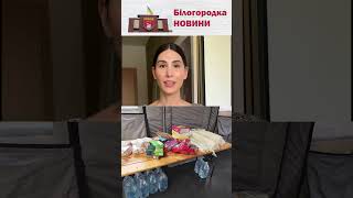 Пункт незламності у Білогородці