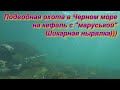 Отличный денек!!))Подводная охота на кефаль в Черном море 2020 &quot;заманухой&quot;,&quot;маруськой&quot;.Spearfishing