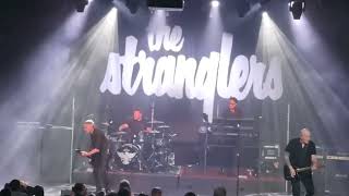 The Stranglers, Tivoli, Golden Brown