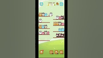 Cat Sort Level 601 with Puzzle_Daddy