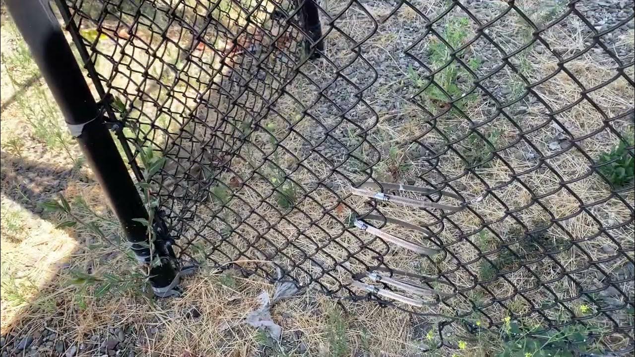 how-to-fix-hole-in-chain-link-fence-youtube