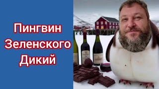 Евгений Дикий - пингвин Зеленского