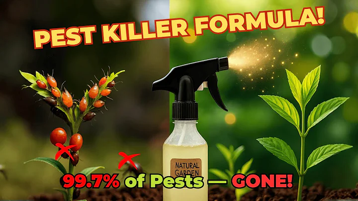 This Homemade Spray KILLS 99 7% of Garden Pests Instantly! Aphids, Ants, Whiteflies & Mealybugs GONE