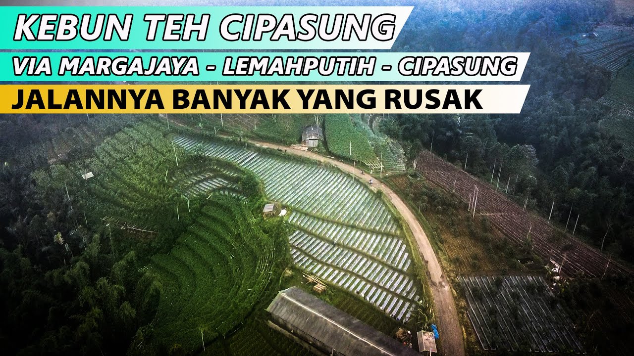 JALANNYA BANYAK YANG RUSAK || MOTORRUN || MENYUSURI JALAN MENUJU KEBUN TEH CIPASUNG