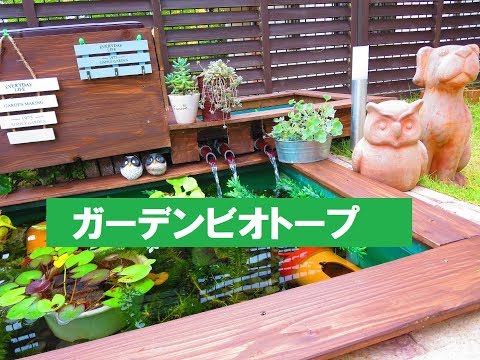 メダカ大好き No 023 ガーデンビオトープ A Box Style Garden Biotope Youtube