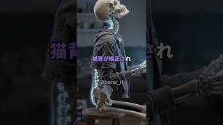 3か月間毎日本気でラジオ体操をするとどうなるのか?