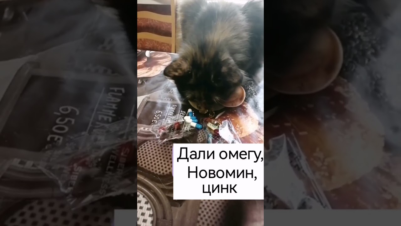 Опыт лечения животных продукцией Siberian Wellness, узнать подробнее в Wats'app +79095088208