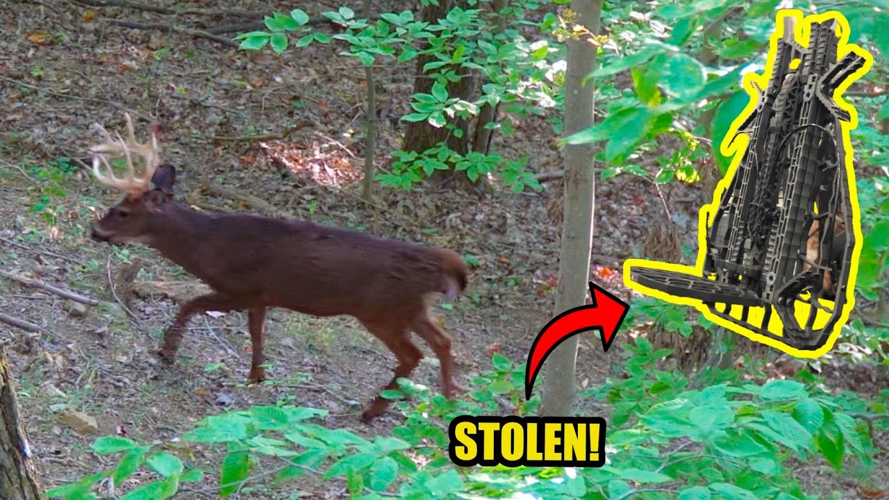 BEST PreRut Action I’ve ever seen! Bowhunting West Virginia! 2022 Deer