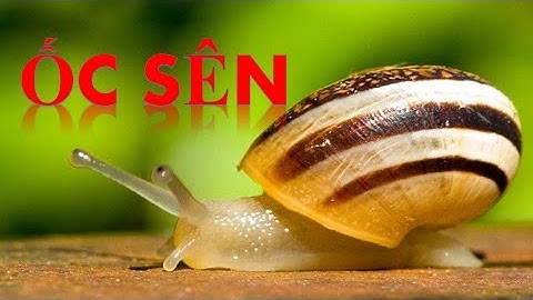 Em tập đọc tên các con vật | Bé học nói tên các loài động vật Con ốc sên | Dạy trẻ thông minh sớm