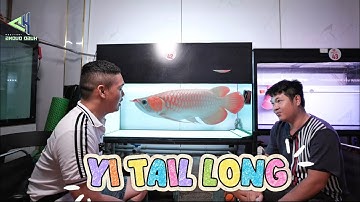 2 viên ngọc đc giấu kỹ là em HUYẾT LONG 75cm  LỚN NHẤT VN và em HUYẾT LONG BẠCH NGỌC YTL SEMI SHORT
