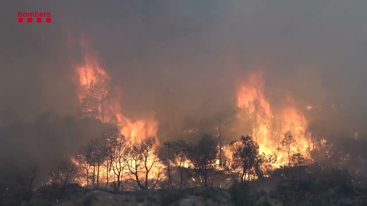 Incendio forestal en Paüls (Tarragona)