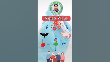 What is Nipah Virus ? Is it a Serious Concern ? #shorts #youtubeshorts #ytshortsindia #shortsfeed