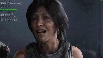 Shadow of the Tomb Raider #3 | Linux / ACO (new Mesa shader compiler)