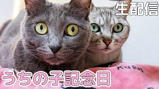 ハムとマロのうちの子9年記念生配信!