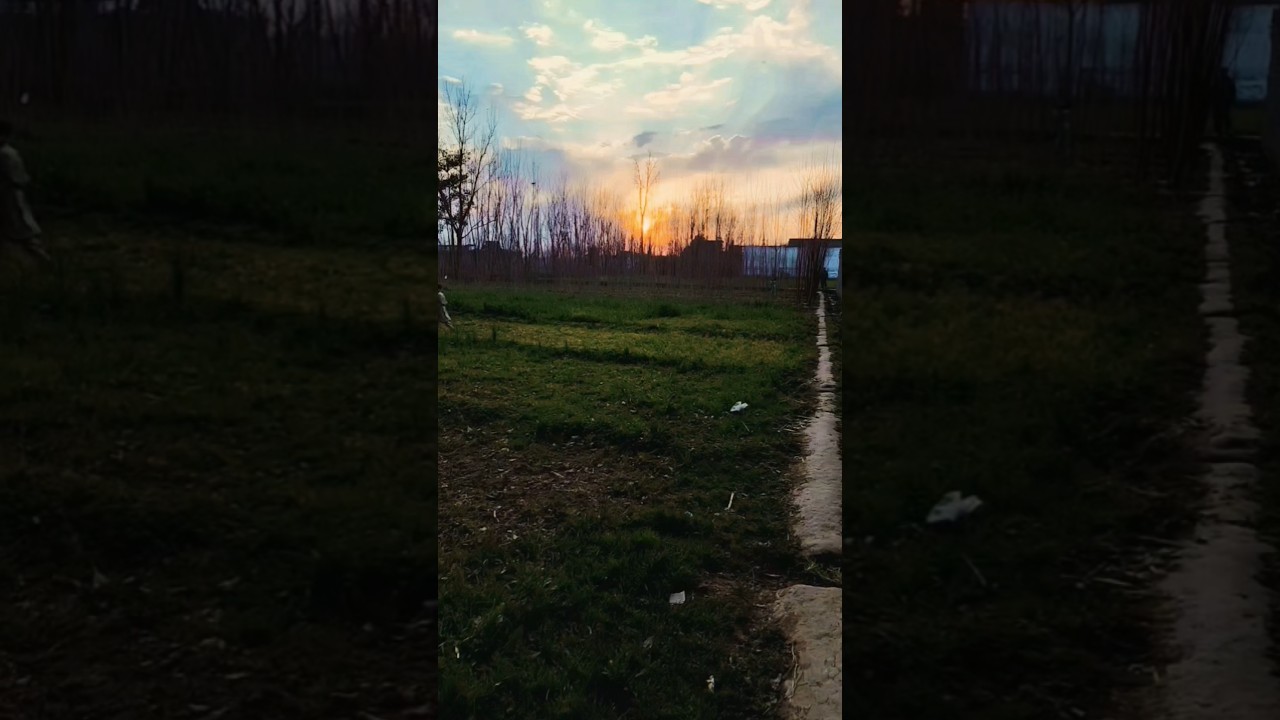 beautiful Sunset #youtubeshorts #trending #sunset #nature #natural #villagelife #village #love