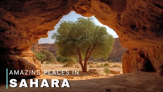 Download Lagu Unseen Sahara | Ghosts of the Dunes A Desert Beyond Time | Travel Video 4K MP3 Download Lagu Unseen Sahara | Ghosts of the Dunes A Desert Beyond Time | Travel Video 4K MP3