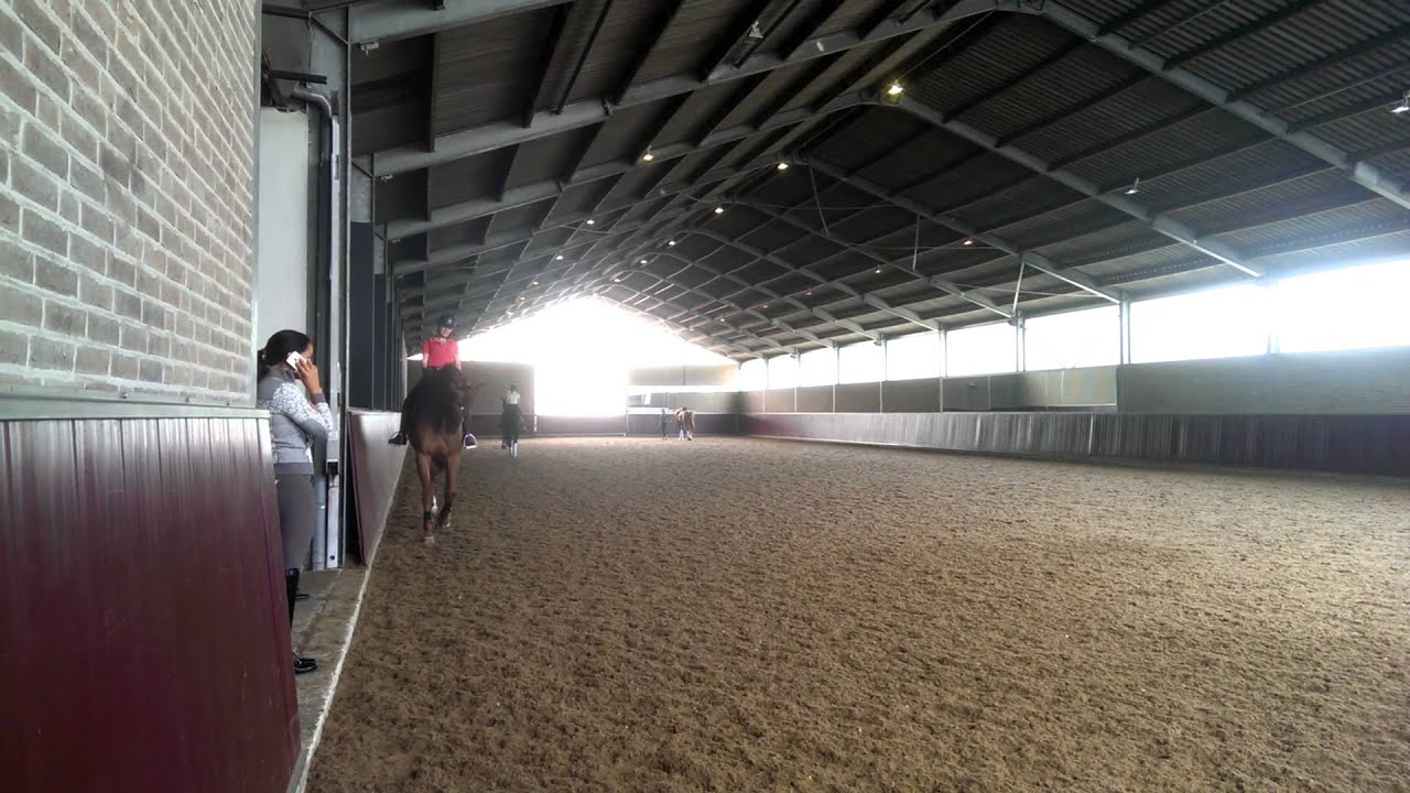 VIDEO0298