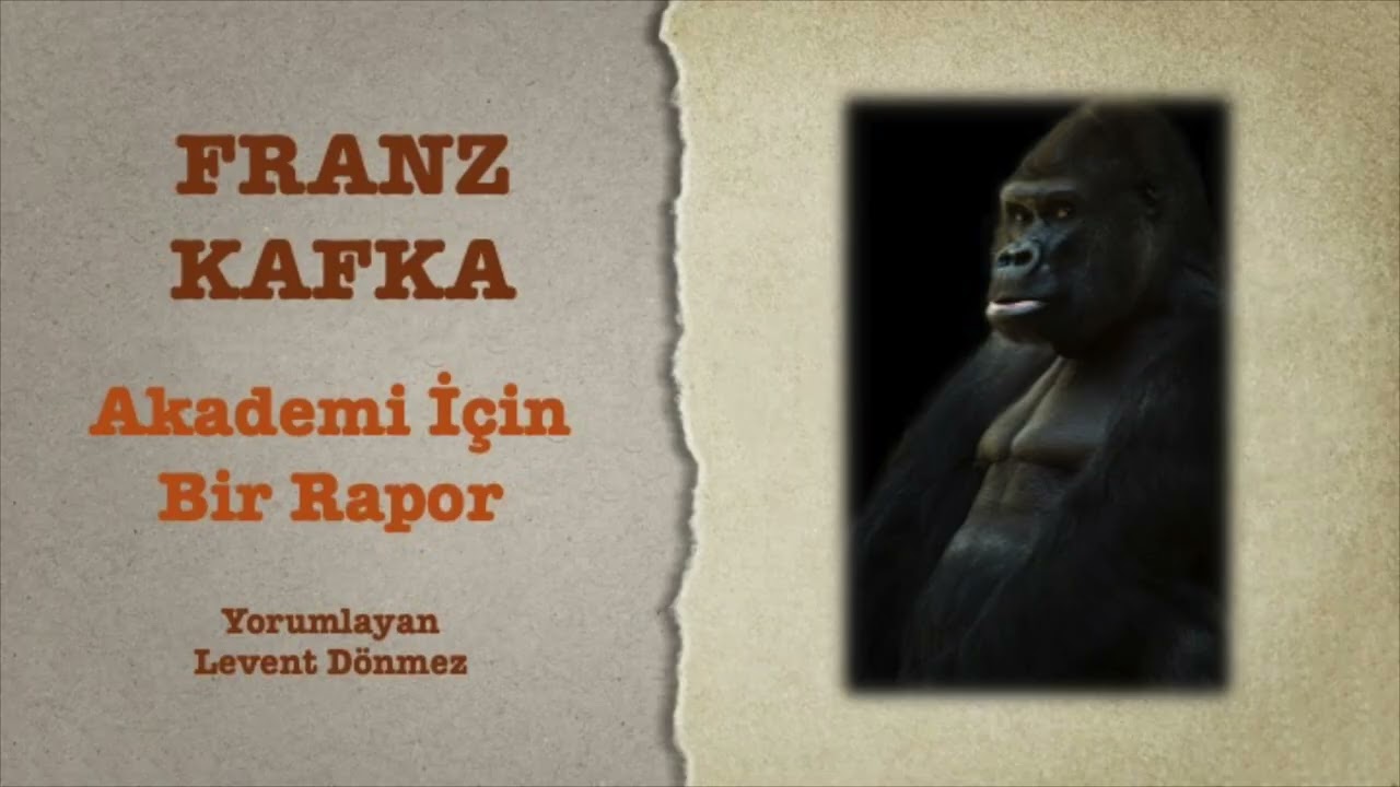 Franz Kafka - Akademi İçin Bir Rapor