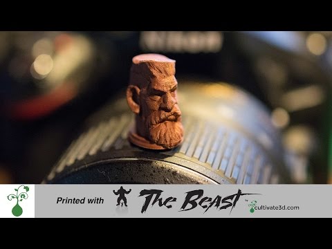 Ultra High Resolution 3D Print - The Beast 3D Printer