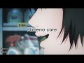 Himeno core